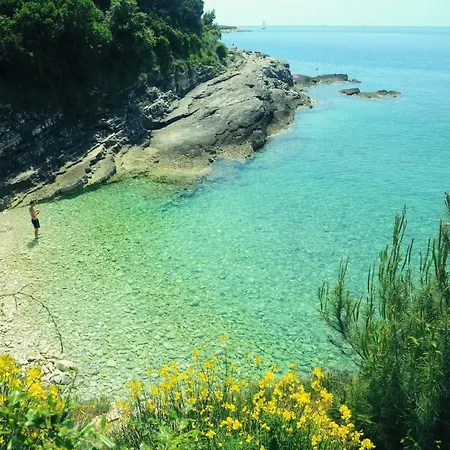 Perusko Διαμέρισμα *